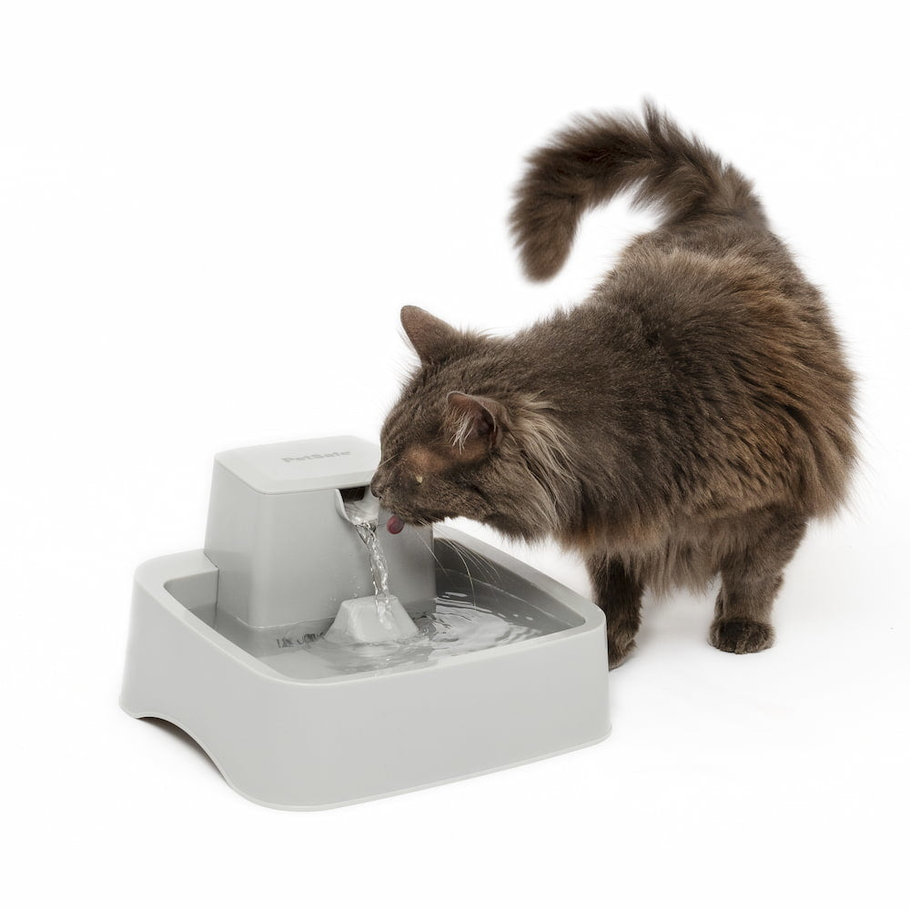 1.8 L Pet Fountain - Hondenbuggyspecialist.nl