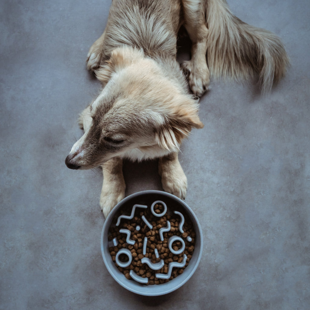 BAMBOO Slow Feeder voor Honden - Ice Blue, Maat: Ø21 cm (1200ml) - Hondenbuggyspecialist.nl