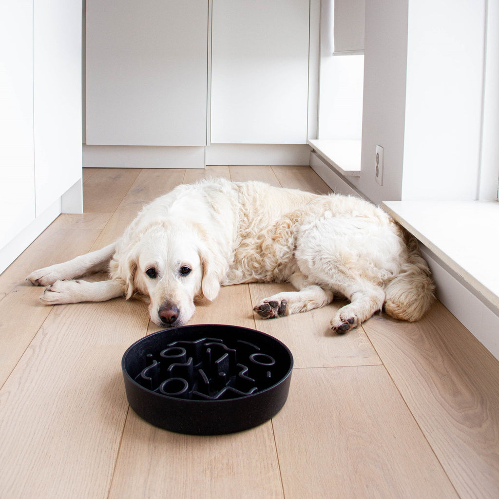 BAMBOO Slow Feeder voor Honden - Dark Grey, Maat: Ø28 cm (2500ml) - Hondenbuggyspecialist.nl