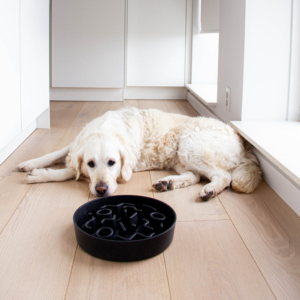 BAMBOO Slow Feeder voor Honden - Ø21 and Ø28 cm - Hondenbuggyspecialist.nl