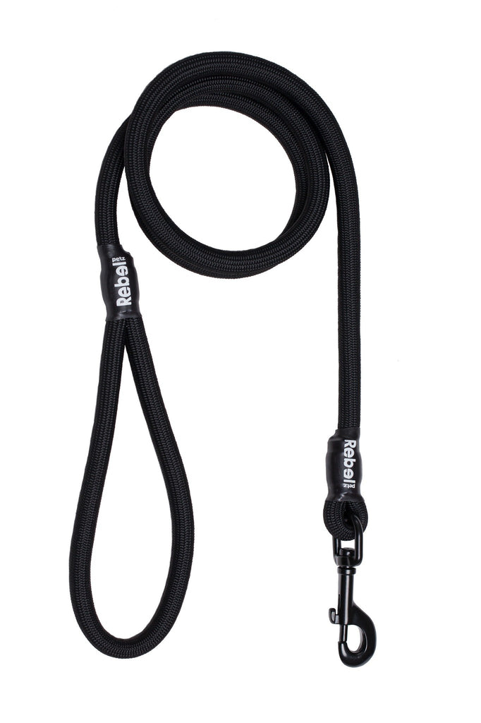 Basic Leash - Large