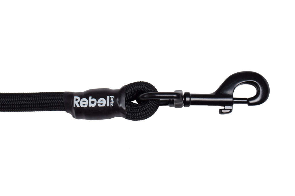 Basic Leash - Large