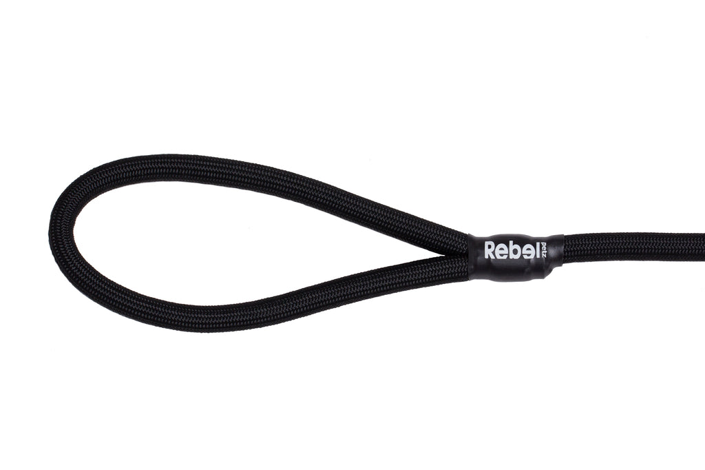 Basic Leash - Large