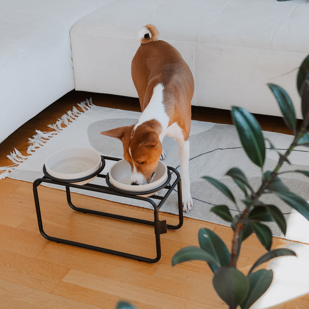 District 70 - BUTLER Voerbakstandaard voor honden – S - Hondenbuggyspecialist.nl