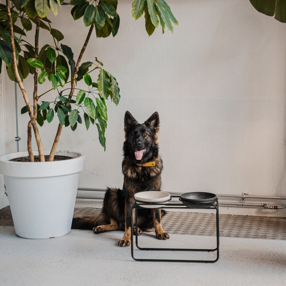 District 70 - BUTLER Voerbakstandaard voor honden – S - Hondenbuggyspecialist.nl