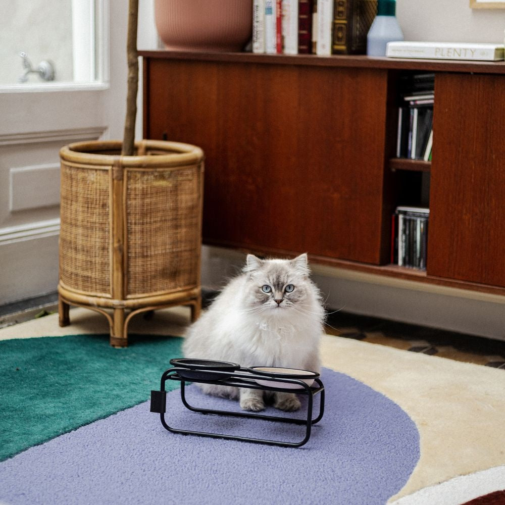 District 70 - BUTLER Voerbakstandaard voor katten - Hondenbuggyspecialist.nl