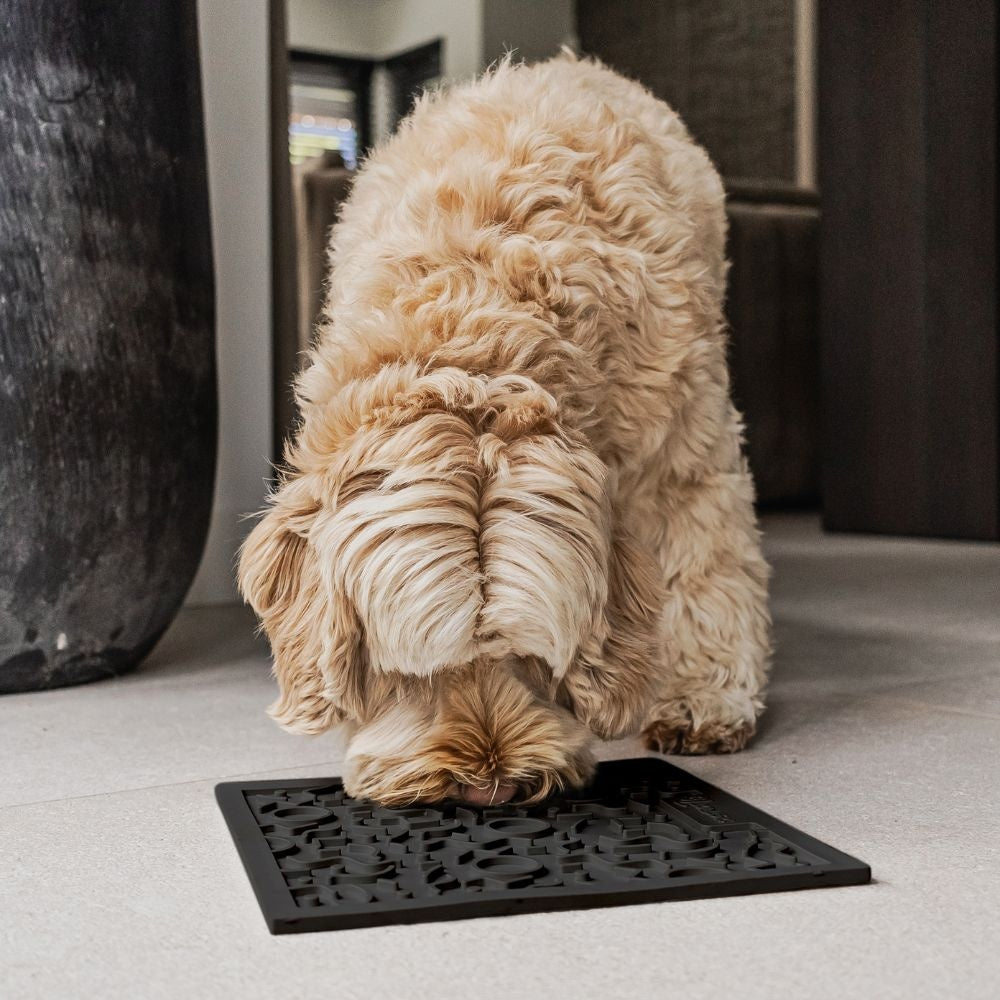 District 70 - QUEST Likmat voor honden - Donkergrijs - 28 x 28 cm - Hondenbuggyspecialist.nl
