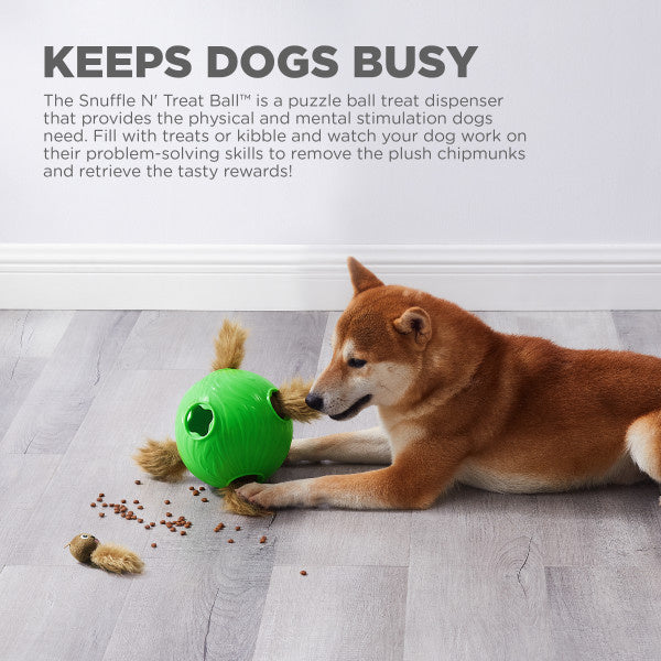 Dog Snuffle N' Treat Ball