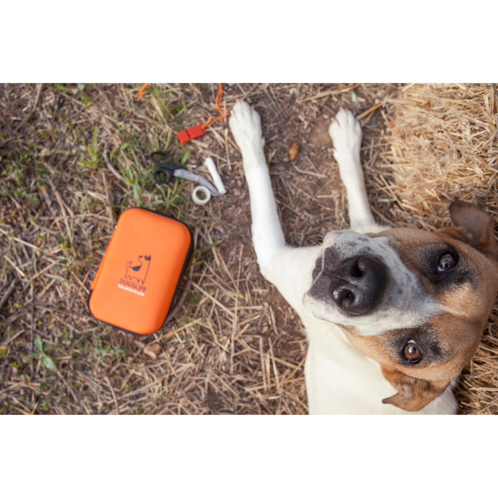 Dogslife Emercency Kit - Hondenbuggyspecialist.nl