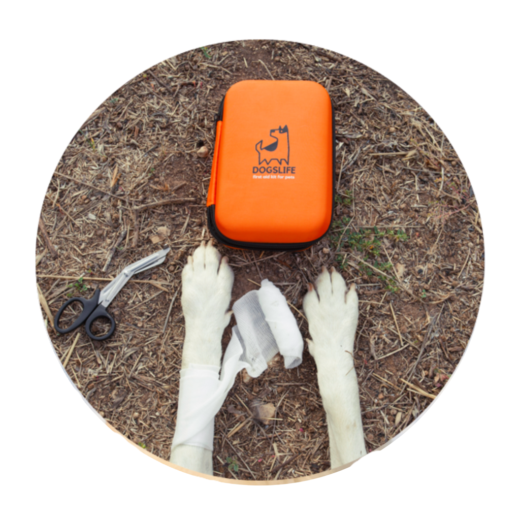 Dogslife Emercency Kit - Hondenbuggyspecialist.nl