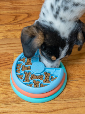 Lickin' Layers Puppy