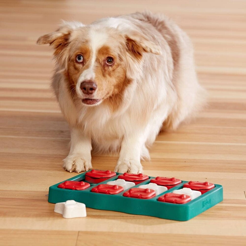 Outward Hound - Dog Brick - Hondenpuzzel - Level 2