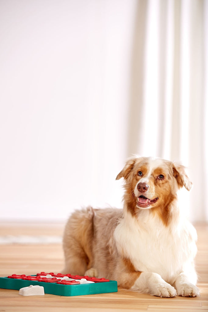 Outward Hound - Dog Brick - Hondenpuzzel - Level 2