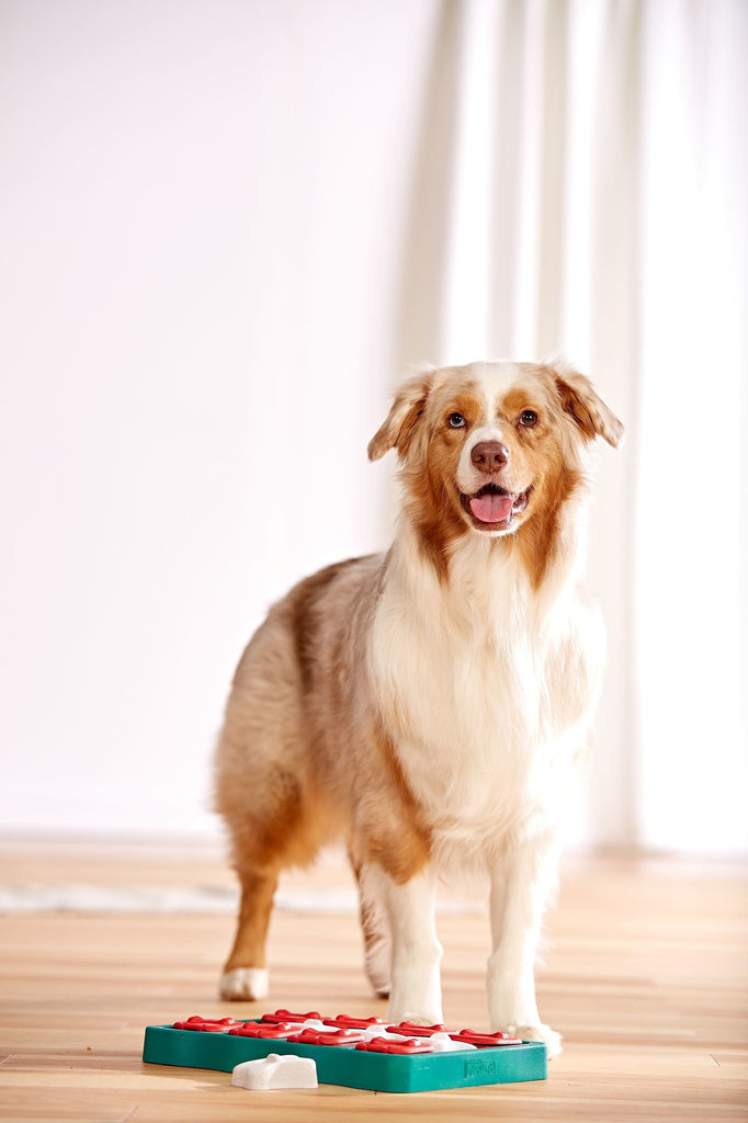 Outward Hound - Dog Brick - Hondenpuzzel - Level 2