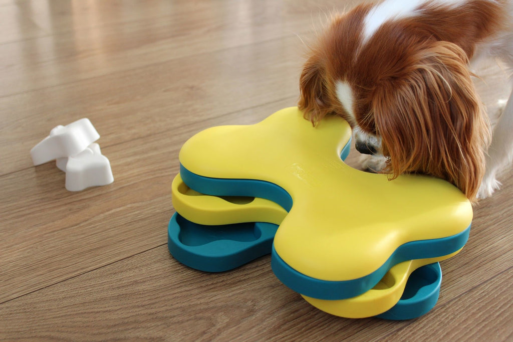 Outward Hound - Dog Tornado - Hondenpuzzel - Level 2