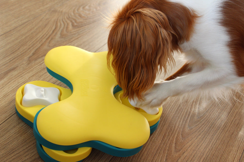 Outward Hound - Dog Tornado - Hondenpuzzel - Level 2