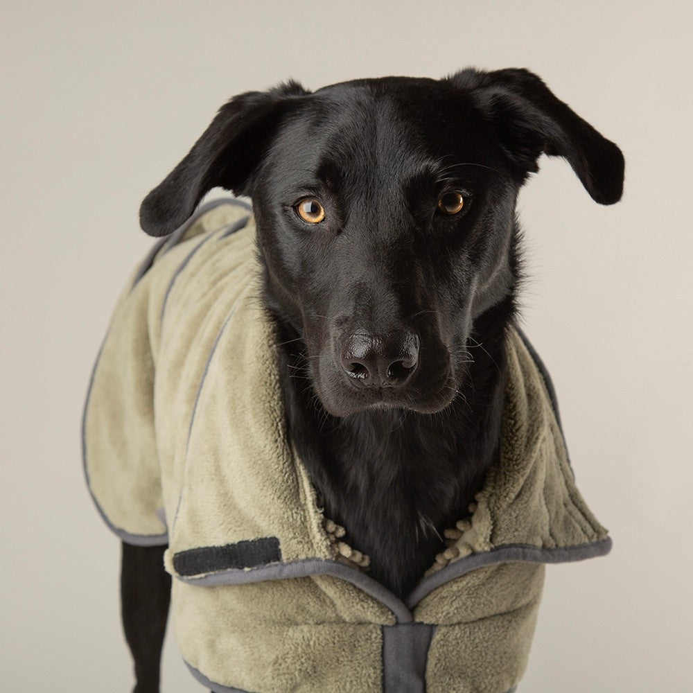 Scruffs - Expedition Deluxe Noodle Dog Drying Coat Kleur: Sage Green Maat: Large