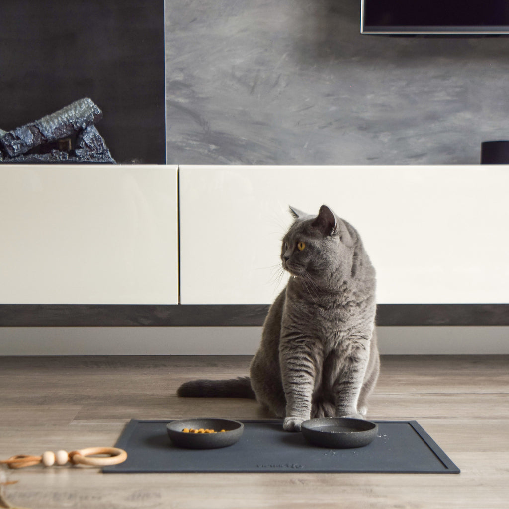 SERVE Placemat - 50 x 35 cm - Dark Grey - Hondenbuggyspecialist.nl