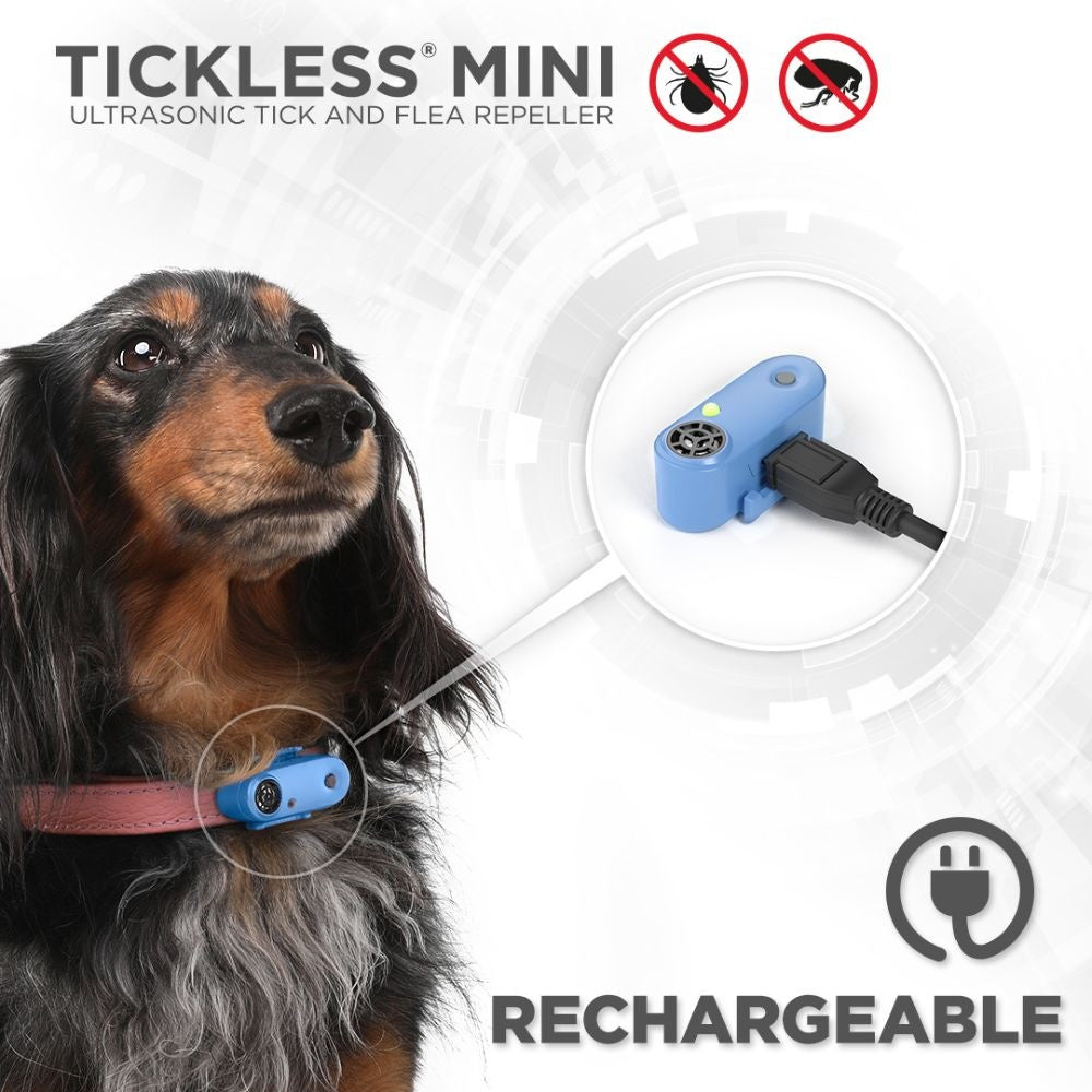 Tickless Mini Hond - Hondenbuggyspecialist.nl