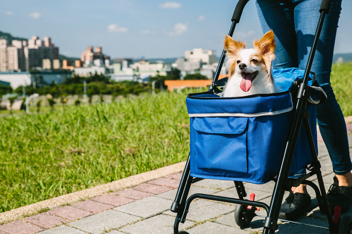 Astro Go Lite Pet Stroller - Hondenbuggyspecialist.nl