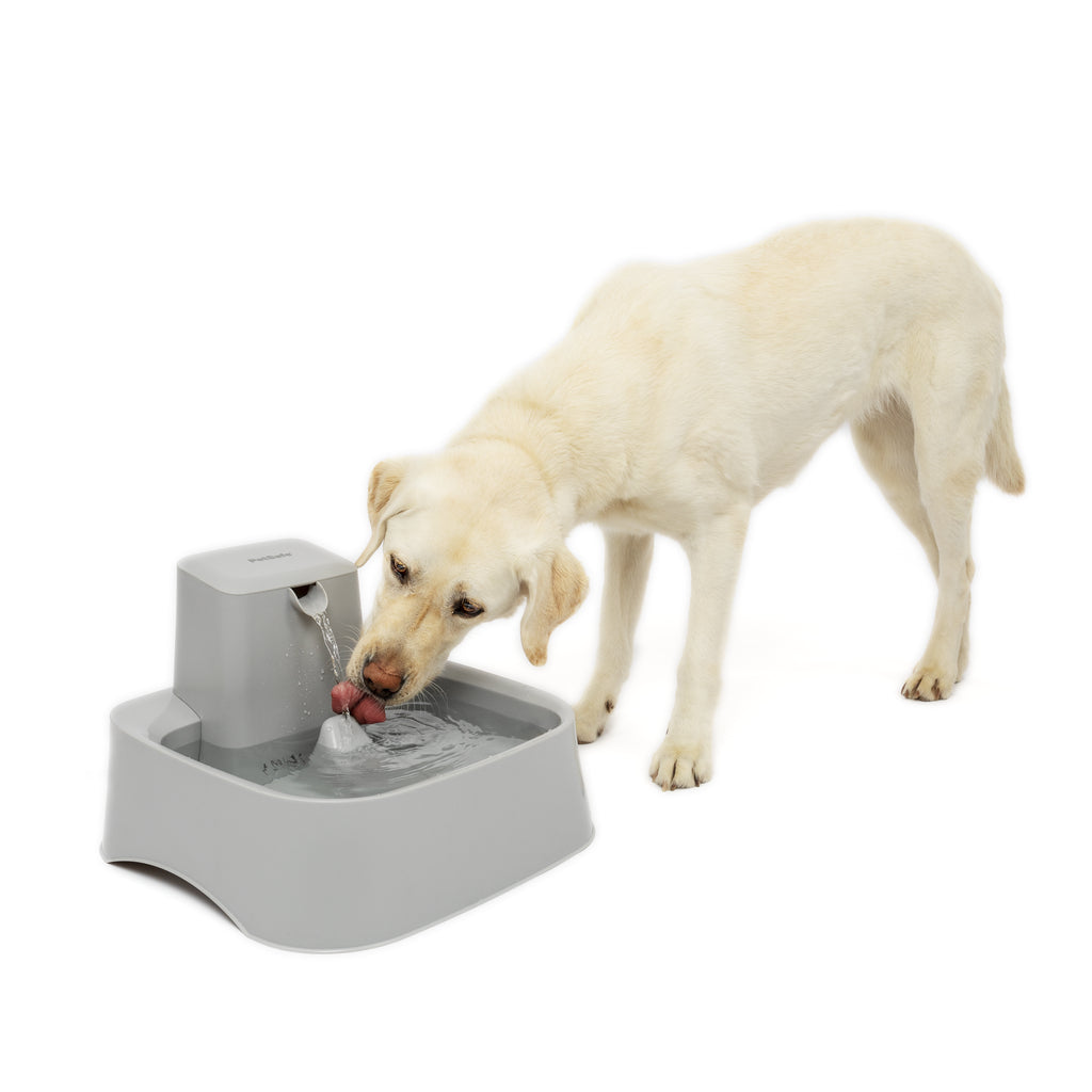 7.5 L Pet Fountain