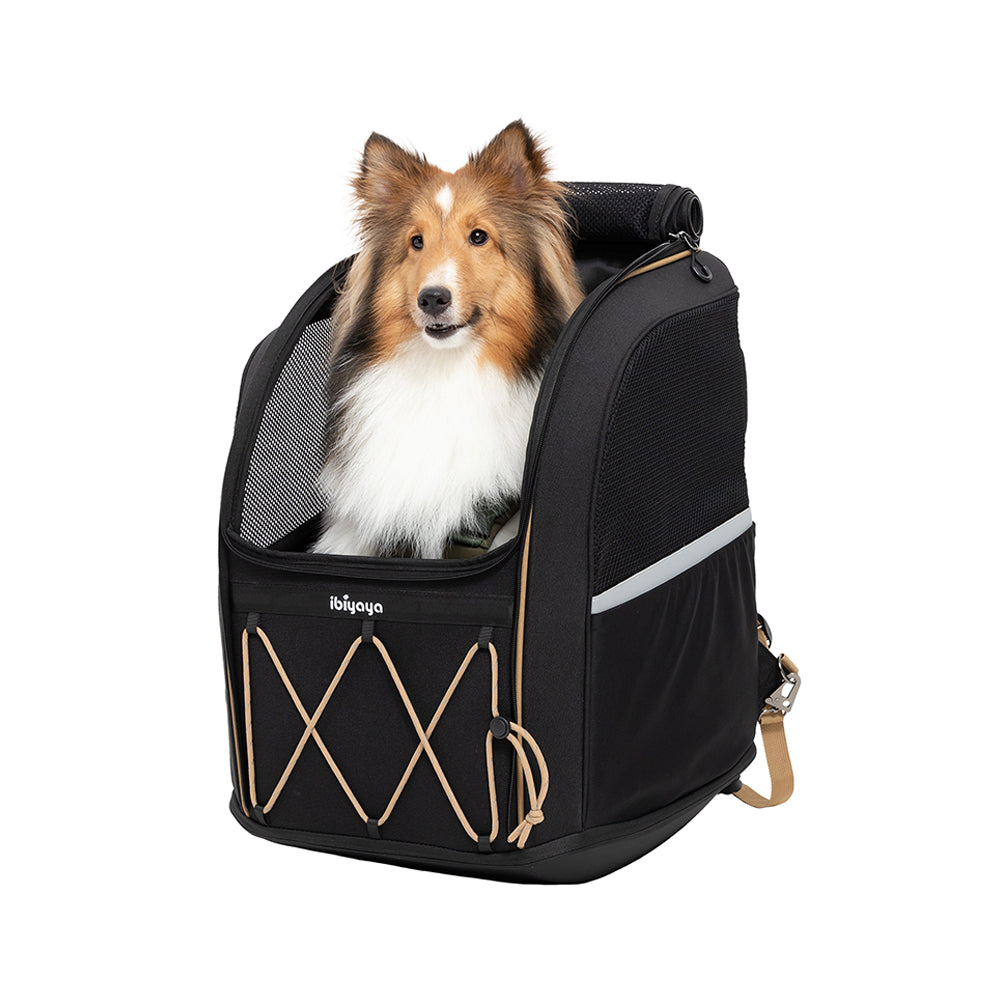 Draagtas Hond 12kg Innopet Large Dog Carrier