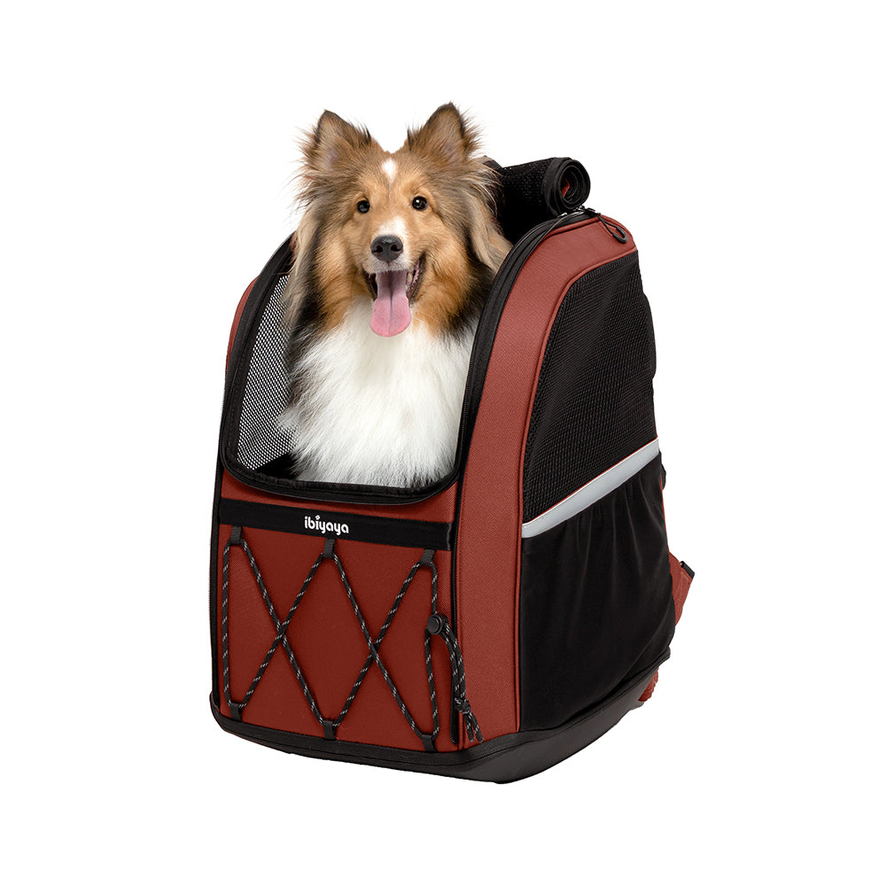 Draagtas Hond 12kg Innopet Large Dog Carrier