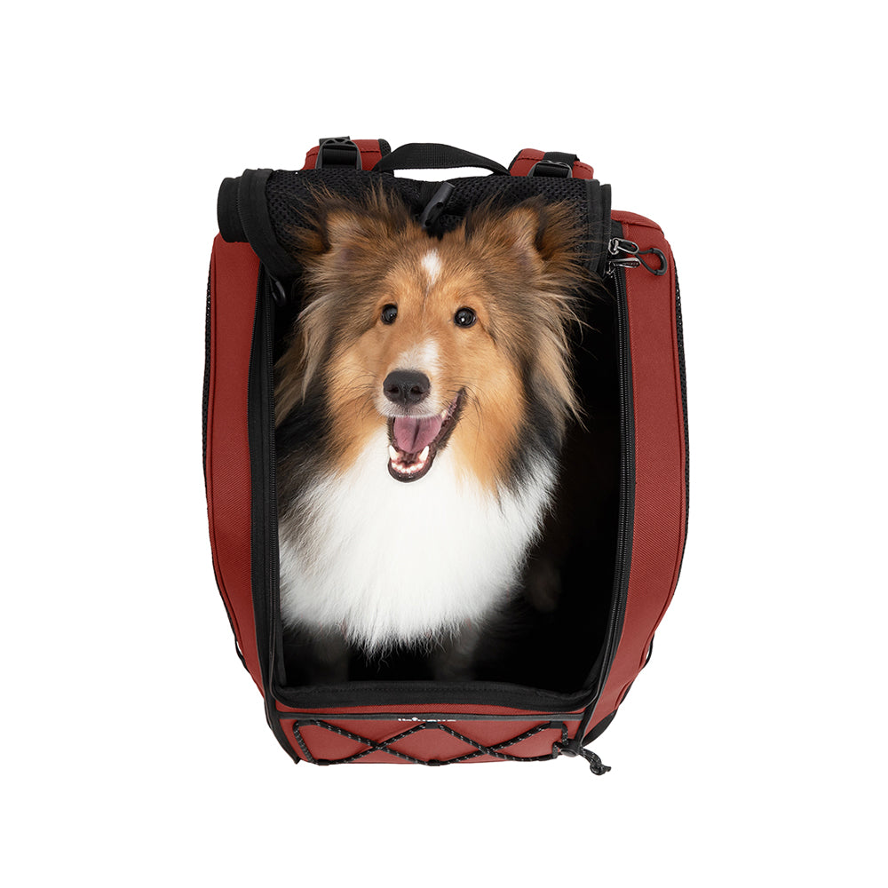 Draagtas Hond 12kg Innopet Large Dog Carrier