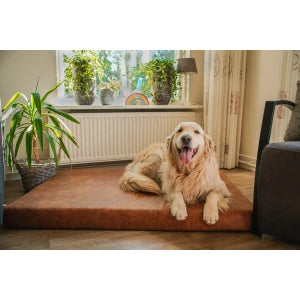 Let's Sleep Mellow Mattress Orthopedisch Kussen M Cognac