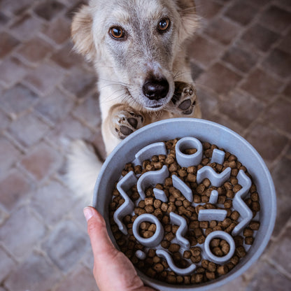 BAMBOO Slow Feeder voor Honden - Ø21 and Ø28 cm - Hondenbuggyspecialist.nl