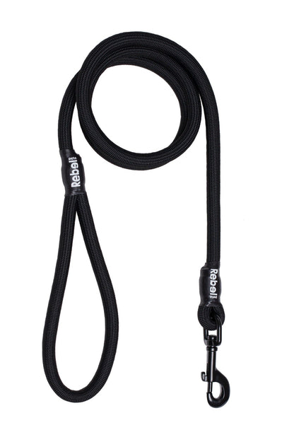 Basic Leash - Large