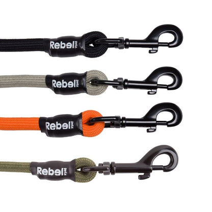 Basic Leash - Large