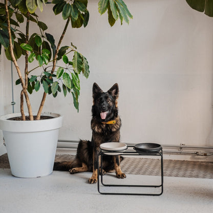 District 70 - BUTLER Voerbakstandaard voor honden – S - Hondenbuggyspecialist.nl