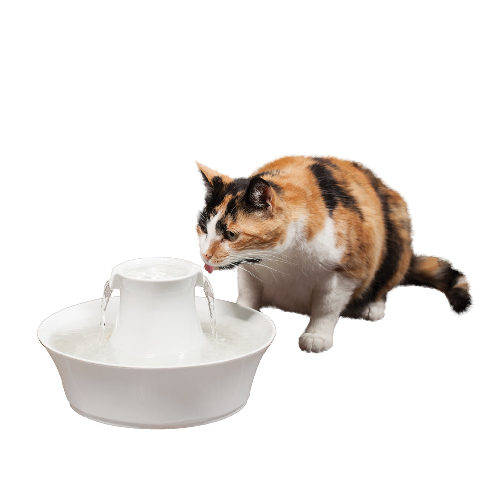 Drinkwell® Avalon Pet Fountain - 2 L