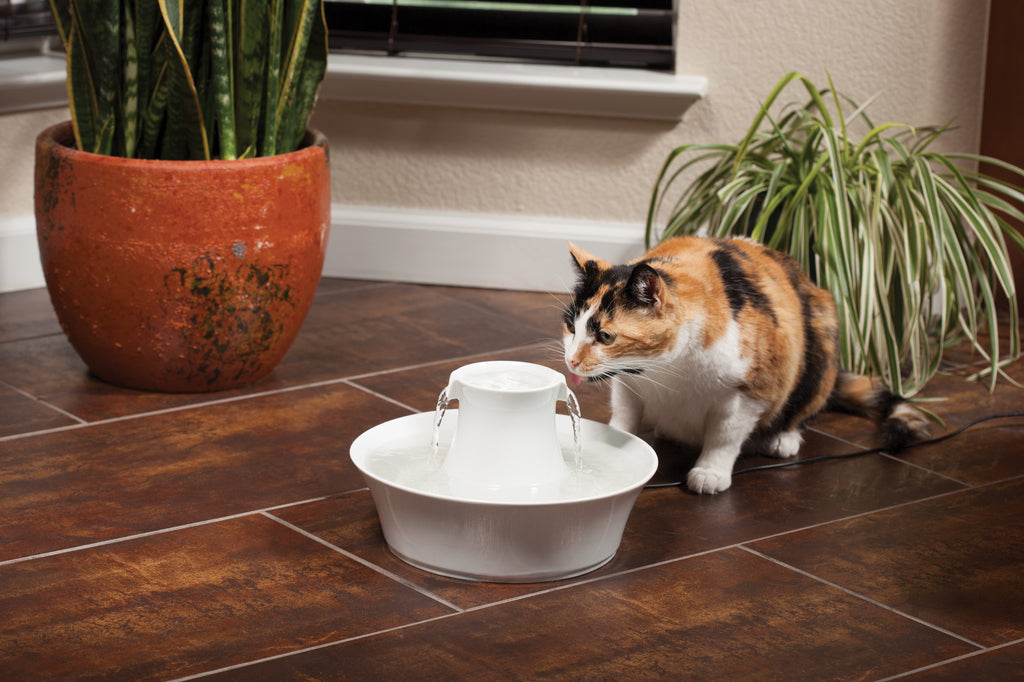 Drinkwell® Avalon Pet Fountain - 2 L