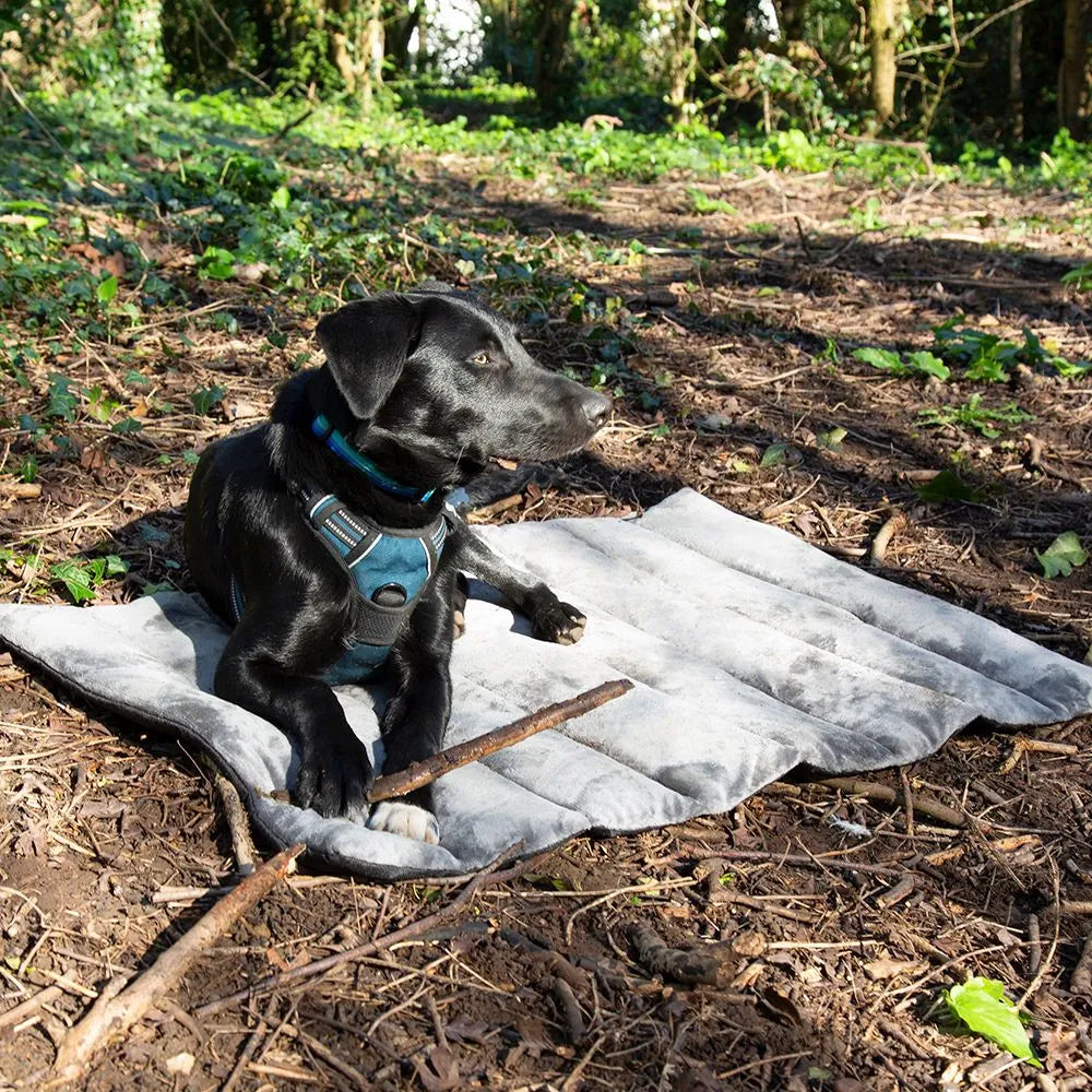 Expedition Roll Up Travel Pet Bed Storm Grey, Maat: One size - 100 x 70 cm