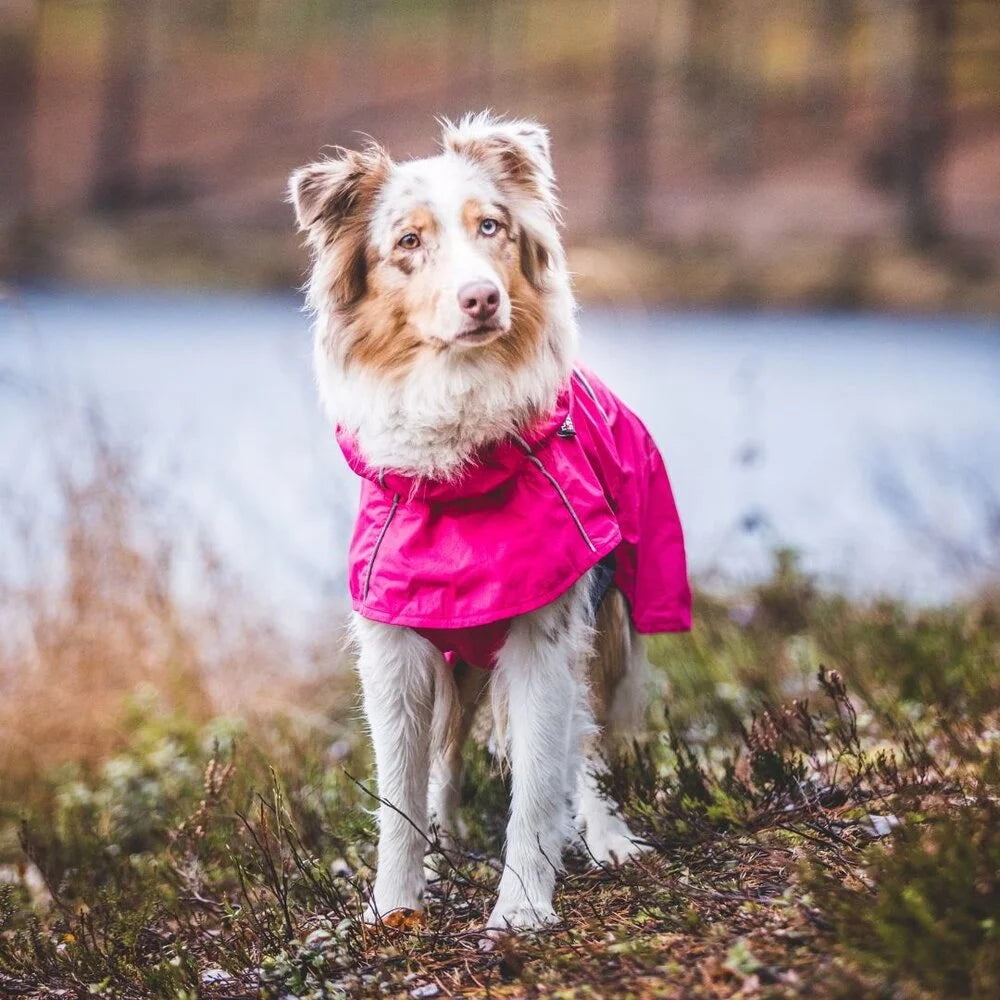 Hase Raincoat - Hondenbuggyspecialist.nl