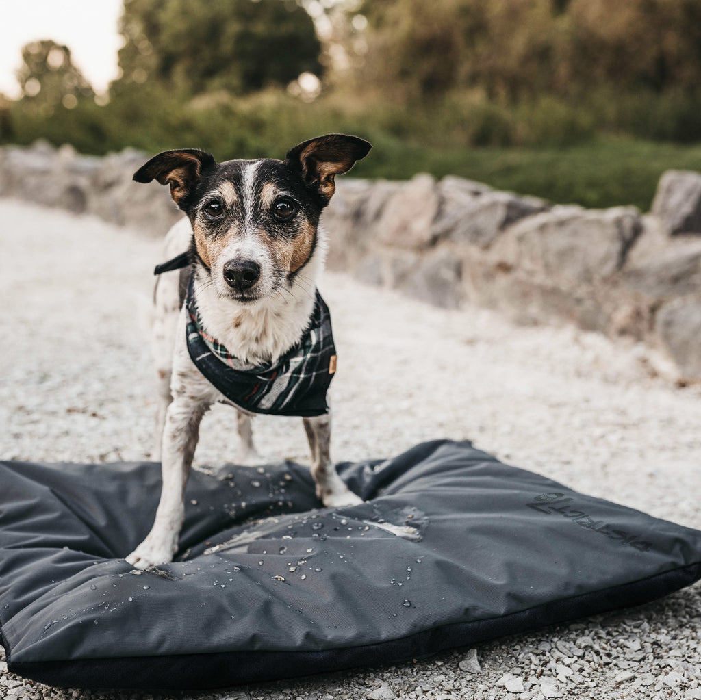 LODGE Benchmat, Kleur: Lichtgrijs, Maat: S - 63 x 47 x 6 cm