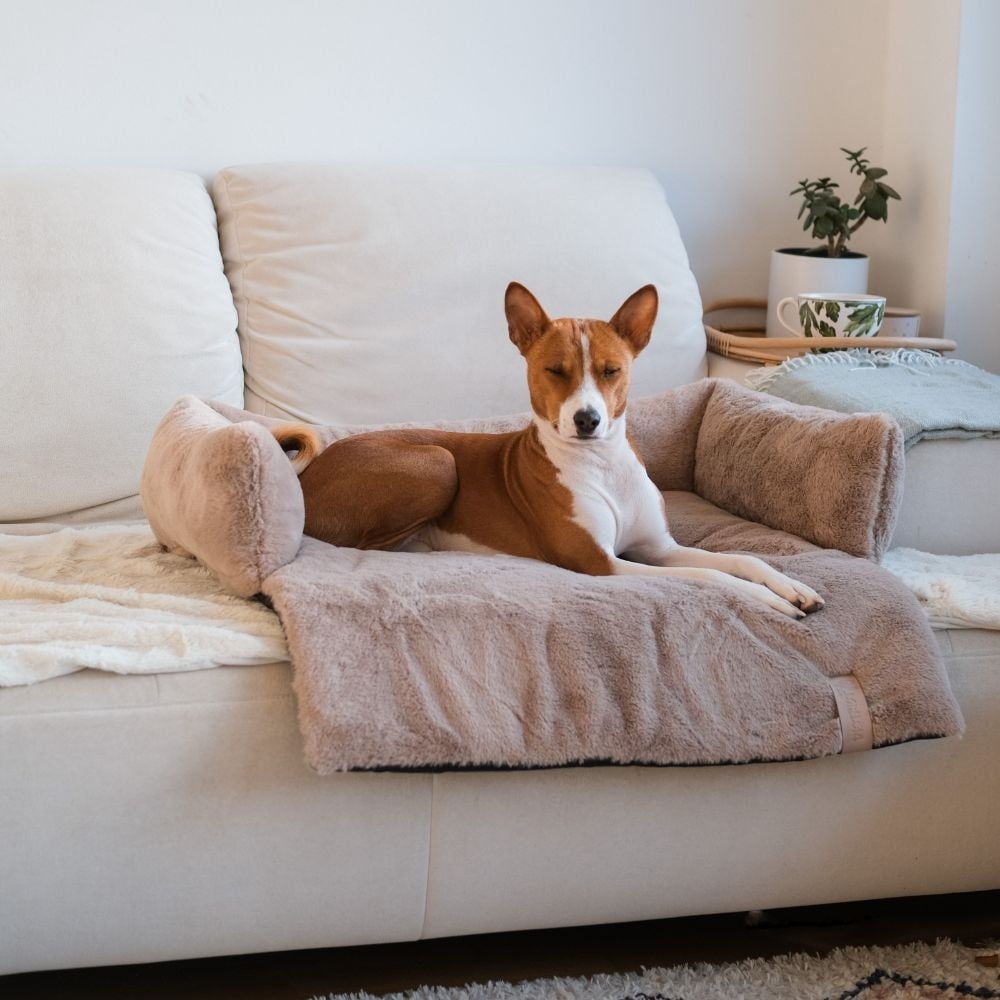 NUZZLE Sofa Bed - Donkergrijs, Taupe en Merengue - Hondenbuggyspecialist.nl