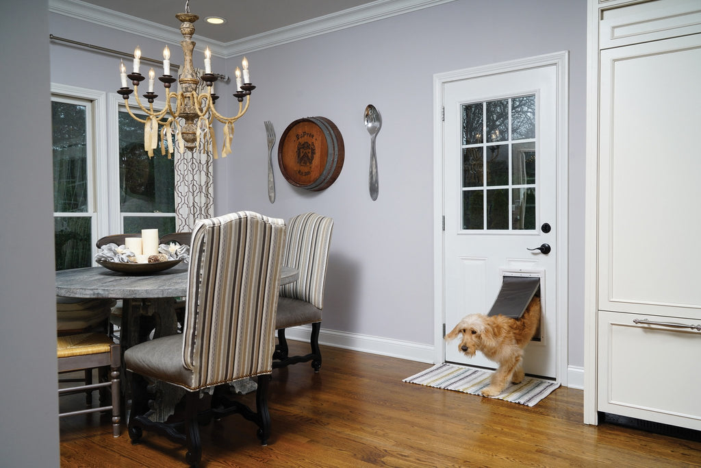 PetSafe® Extreme Weather Door™ small