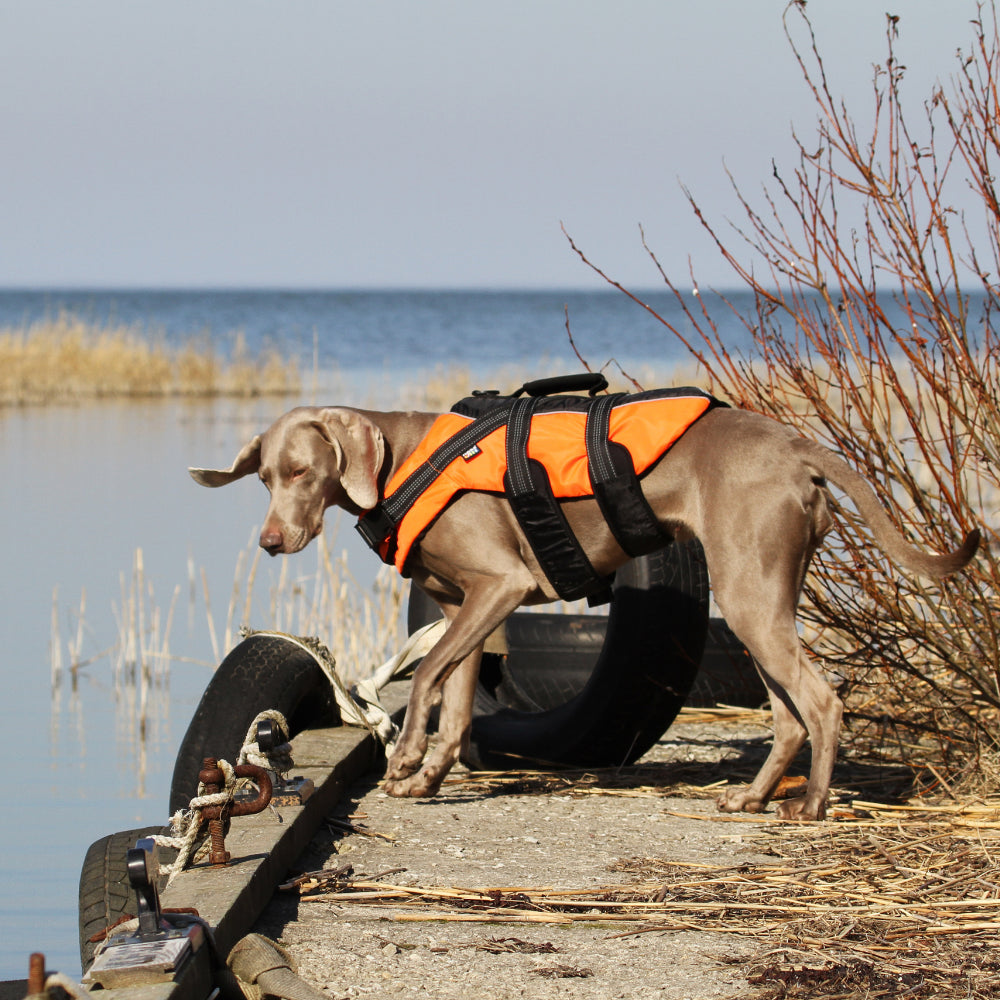 Safety Life Vest - Hondenbuggyspecialist.nl