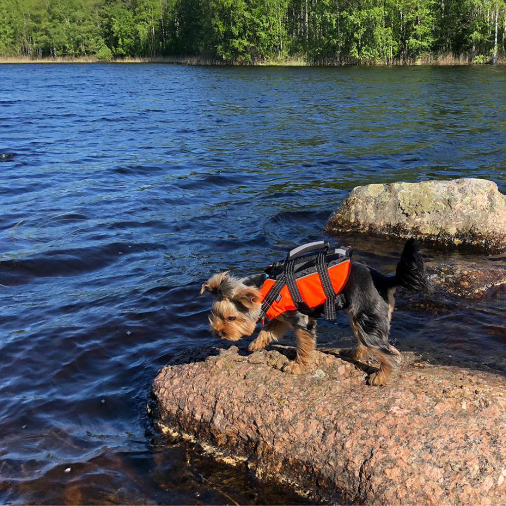 Safety Life Vest - Hondenbuggyspecialist.nl