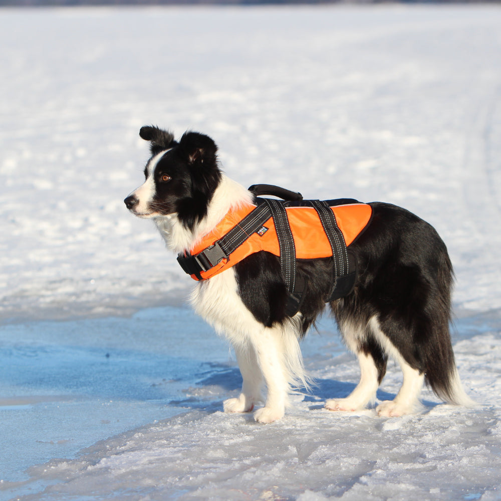 Safety Life Vest - Hondenbuggyspecialist.nl