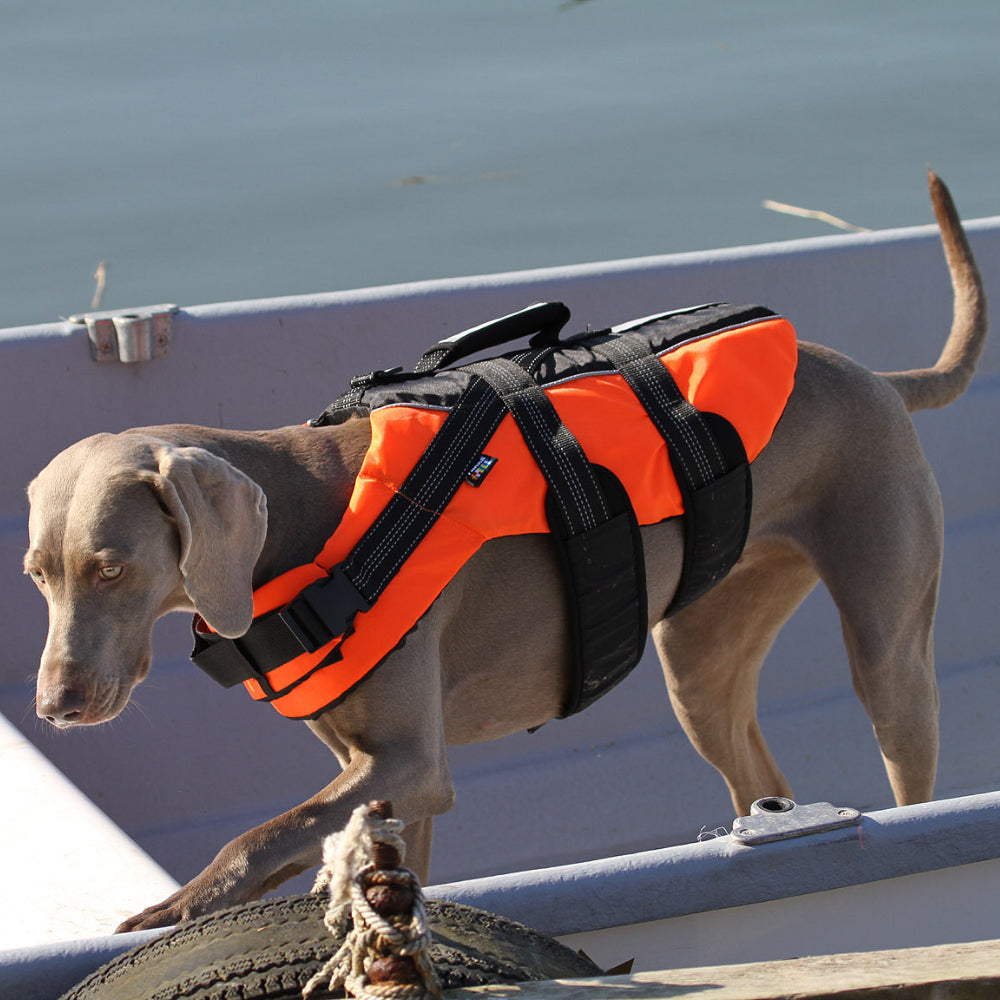 Safety Life Vest - Hondenbuggyspecialist.nl