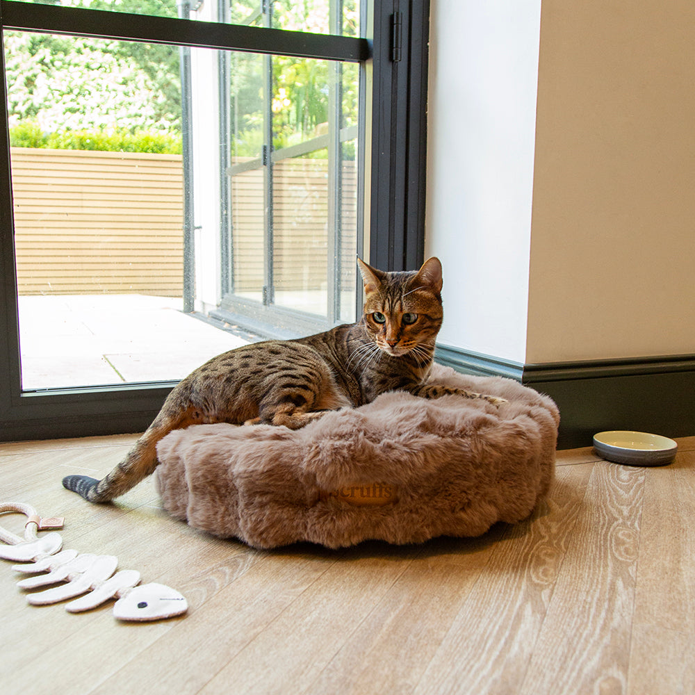 Scruffs - Alpine Cat Bed – One Size - Taupe