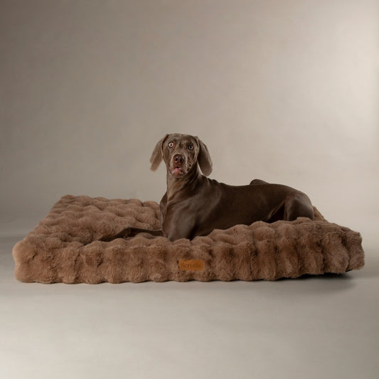 Scruffs - Alpine Mattress – Taupe/Champagne -  XL - 120 x 75 x 14 cm - Hondenbuggyspecialist.nl