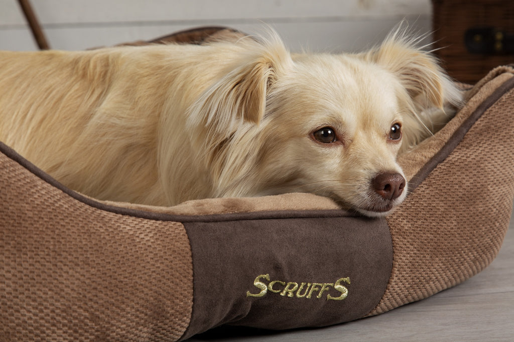 Scruffs Chester Box Bed - Chocolade bruin - Extra Large - 90 x 70 cm - Hondenbuggyspecialist.nl