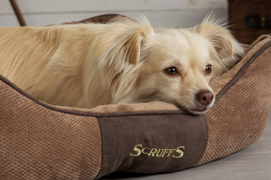 Scruffs Chester Box Bed - Chocolade bruin - Extra Large - 90 x 70 cm - Hondenbuggyspecialist.nl