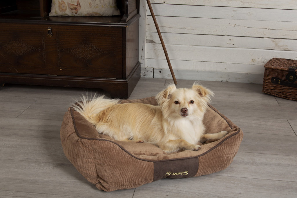 Scruffs Chester Box Bed - Chocolade Bruin, Maat: Large - 75 x 60 cm - Hondenbuggyspecialist.nl