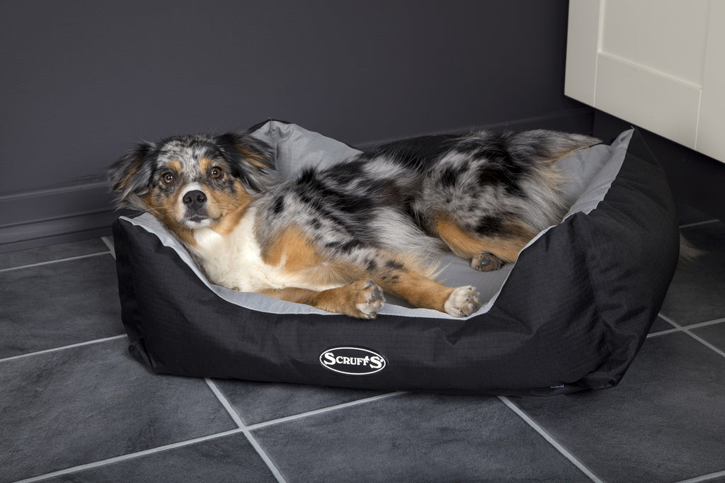 Scruffs Expedition Box Bed - Grijs, Maat: Large - 75 x 60 cm - Hondenbuggyspecialist.nl